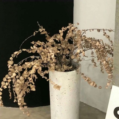 越秀福瑞交流群